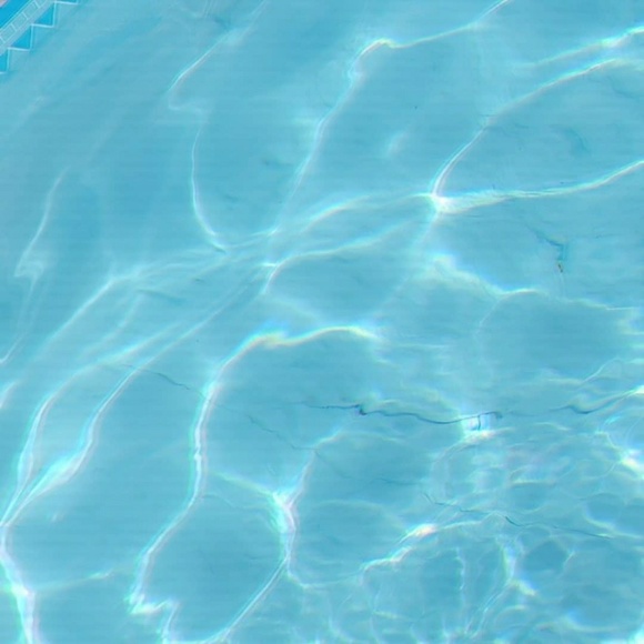 Meet your Posher, Dakota - Picture 1 of 1